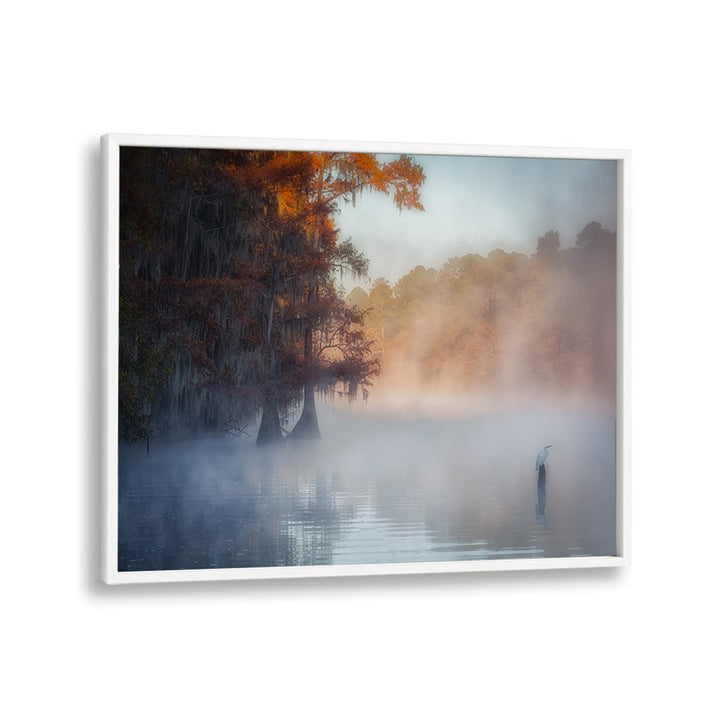 A TRANQUIL MORNING AT CADDO LAKE BY MICHAEL ZHENG , LANDSCAPE PHOTO PRINTS