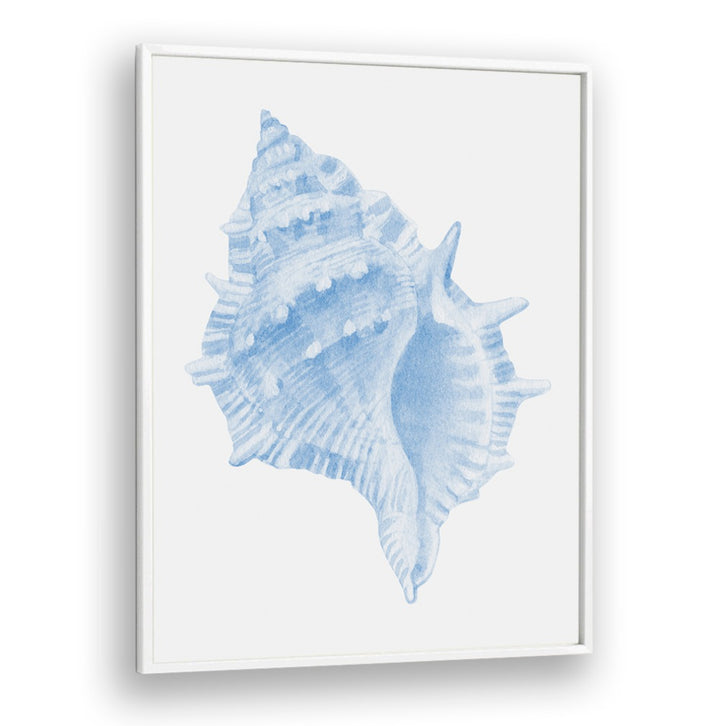 One Blue Conch, beach paintings showcasing a delicate blue conch shell, perfect for coastal home decor.