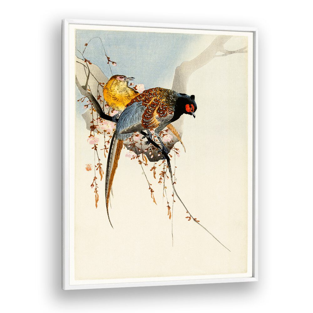 PHEASANT COUPLE AND PLUM BLOSSOM (1900 - 1930)  , JAPANESE PAINTINGS , JAPANESE ART PRINTS