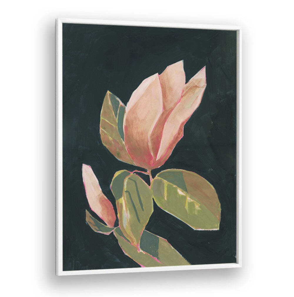 MAGNOLIA IN DARK BACKGROUND