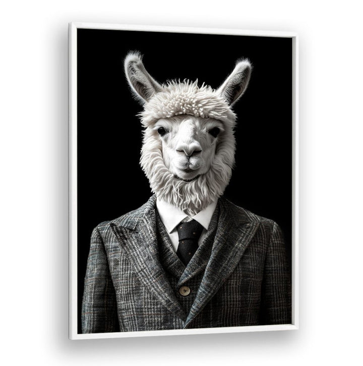 WILD SUITS - ALPACA , ANIMAL PAINTINGS