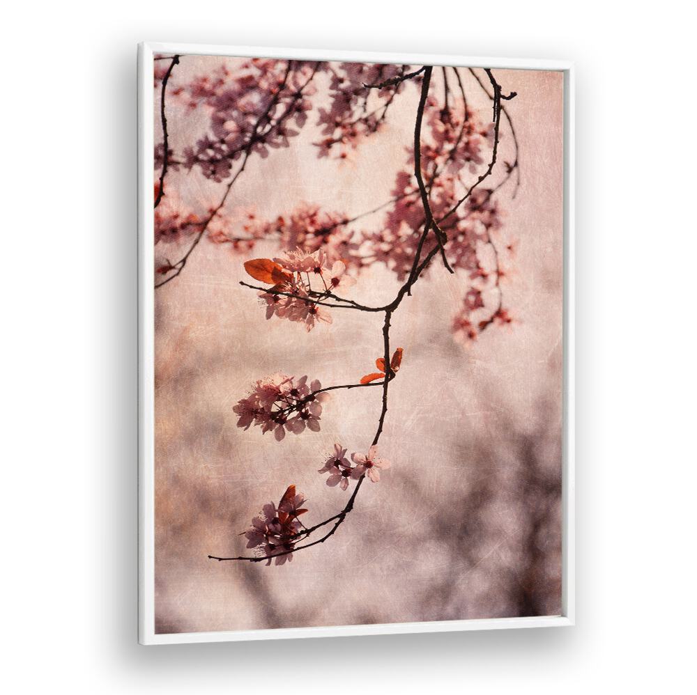 Delicate cherry blossoms blossom in Vintage Pink Floral Flower Paintings, perfect for enhancing your living space's charm.