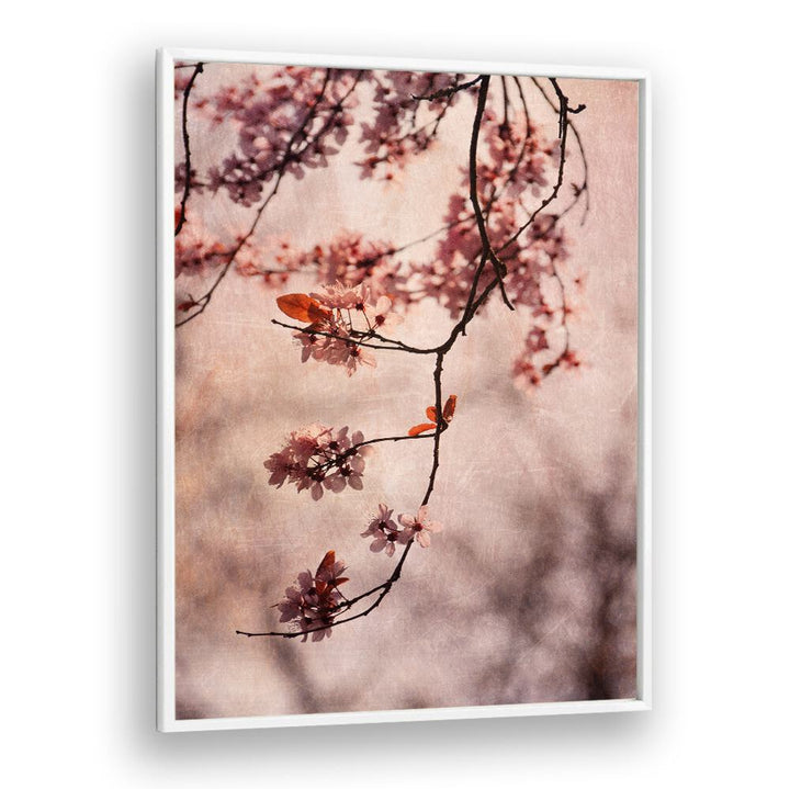 Delicate cherry blossoms blossom in Vintage Pink Floral Flower Paintings, perfect for enhancing your living space's charm.