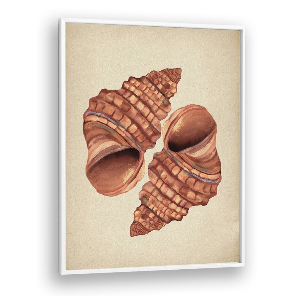 Seashell Vintage, Beach Paintings showcase elegant shells, perfect for adding coastal charm to your décor.