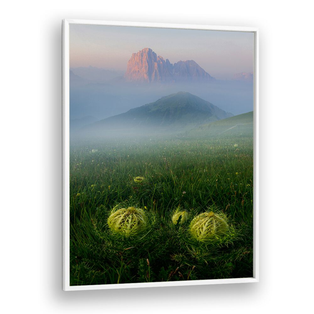 PROTECTION OF THE ALPS , LANDSCAPE PHOTO PRINTS