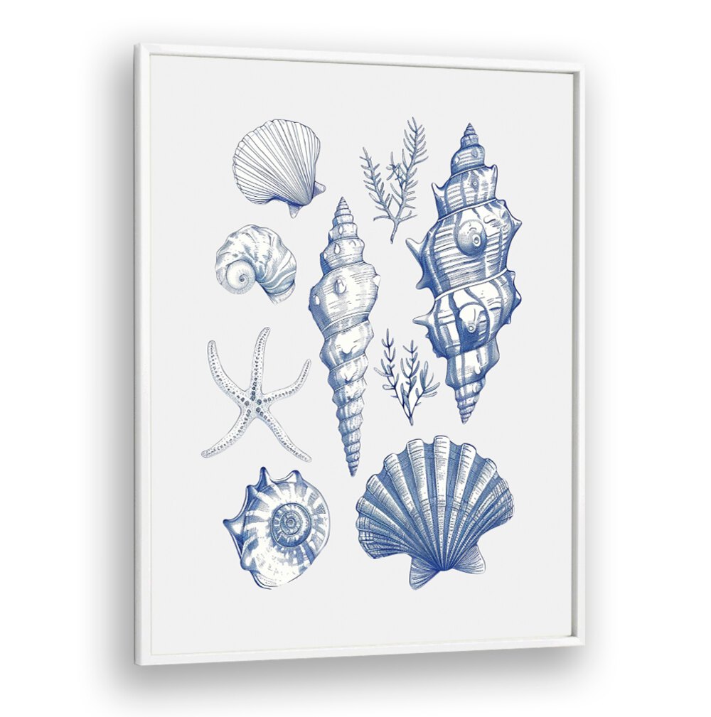 SHELL COLLAGE, BEACH PAINTINGS featuring elegant seashells and starfish for a coastal home decor transformation.