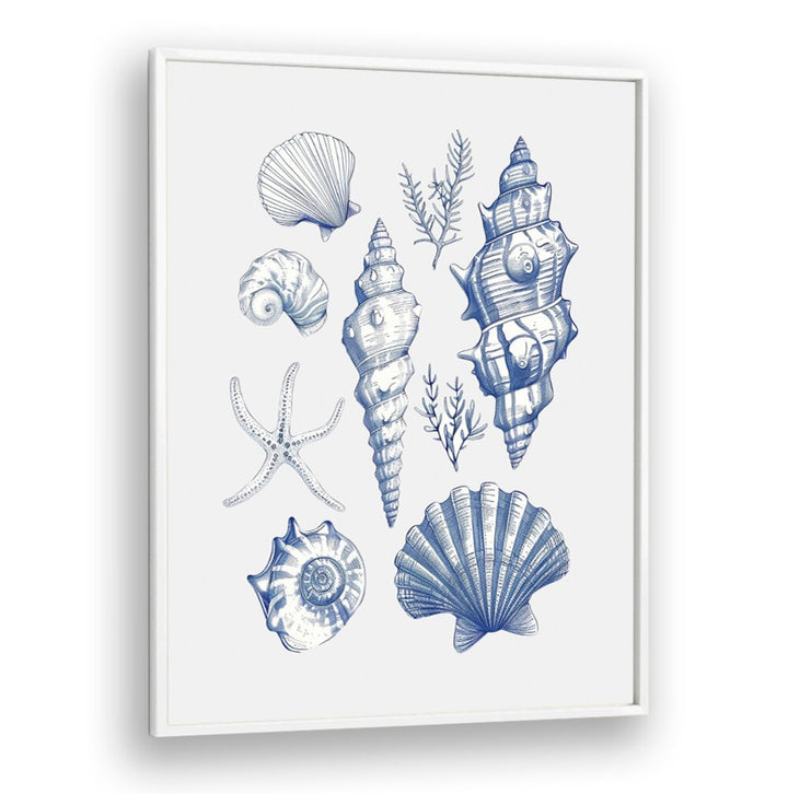 SHELL COLLAGE, BEACH PAINTINGS featuring elegant seashells and starfish for a coastal home decor transformation.