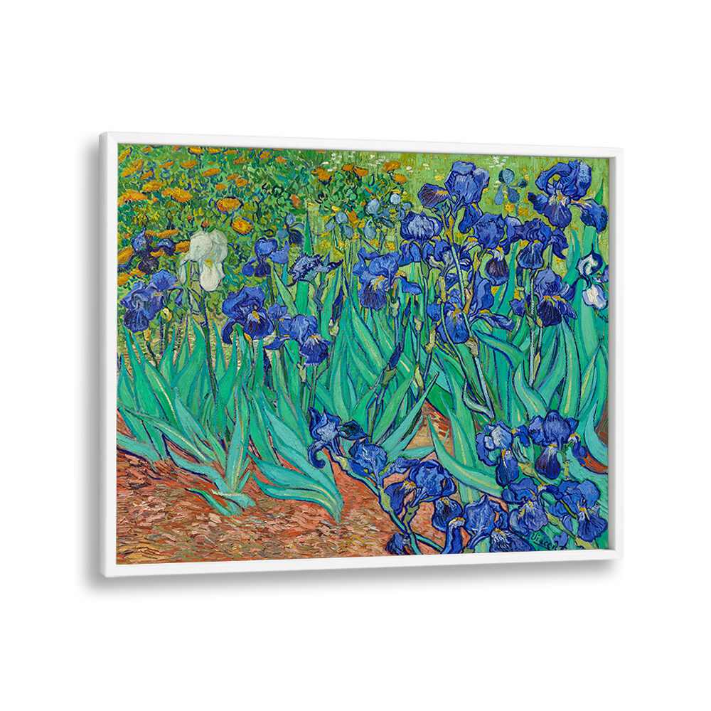 VINCENT VAN GOGH'S IRISES (1889) , VINTAGE PAINTINGS