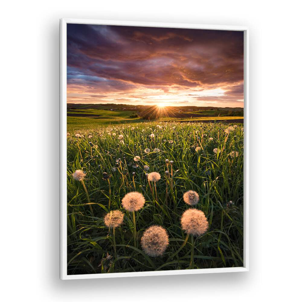 POPPY WORLD , LANDSCAPE PHOTO PRINTS , LANDSCAPE PHOTOGRAPHY