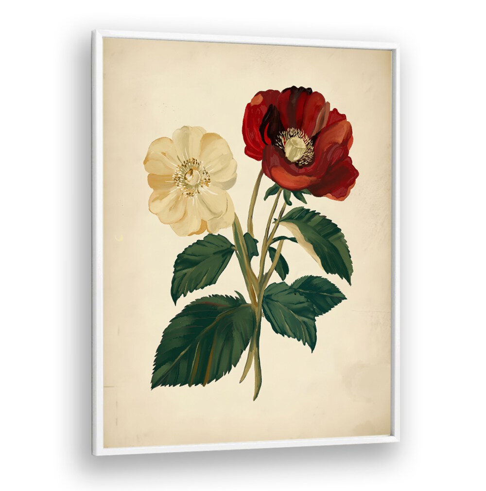 Elegant 18TH CENTURY BOTANICAL, FLORAL FLOWER PAINTINGS showcasing exquisite blooms, perfect for home decor enthusiasts.