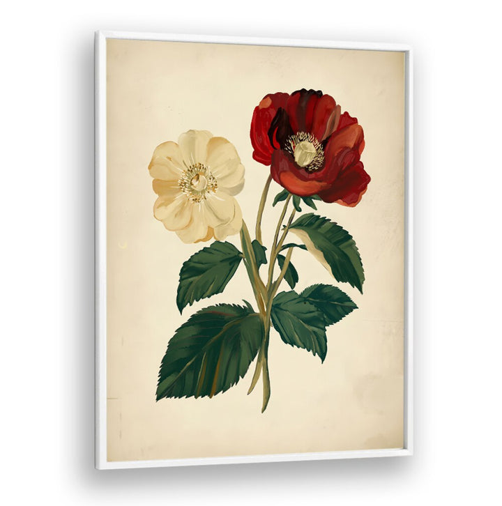 Elegant 18TH CENTURY BOTANICAL, FLORAL FLOWER PAINTINGS showcasing exquisite blooms, perfect for home decor enthusiasts.