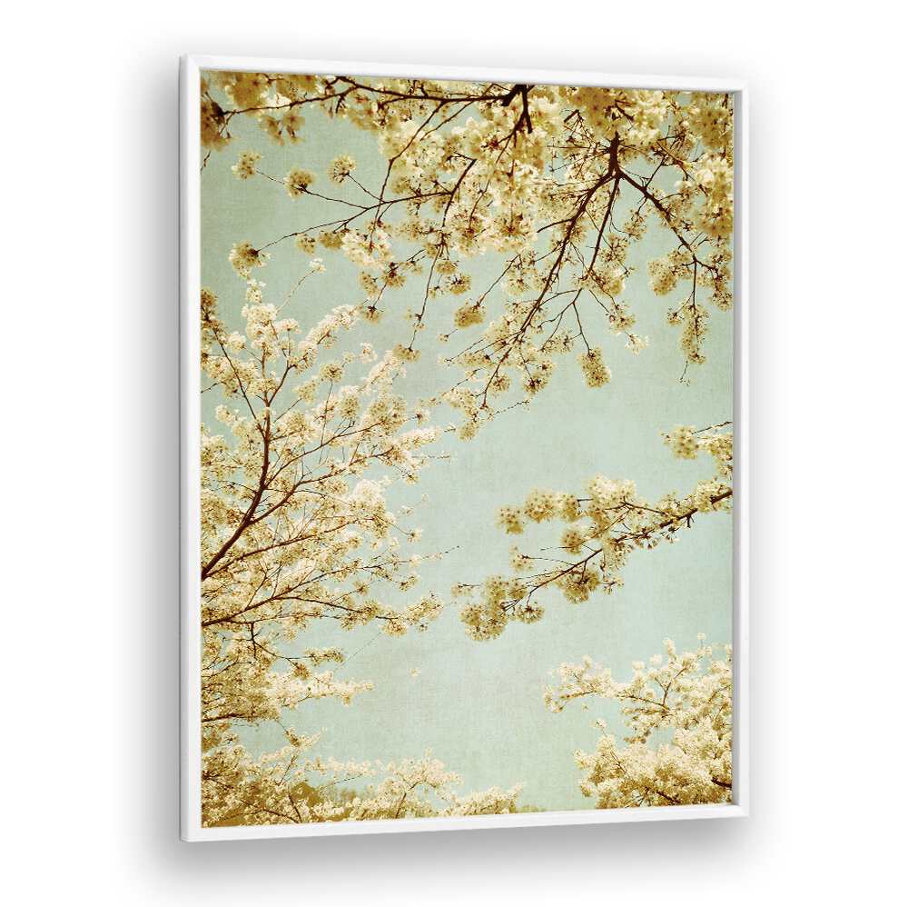 Delicate cherry blossoms framed by a soft blue sky in VINTAGE SKY, FLORAL FLOWER PAINTINGS for a serene ambiance.