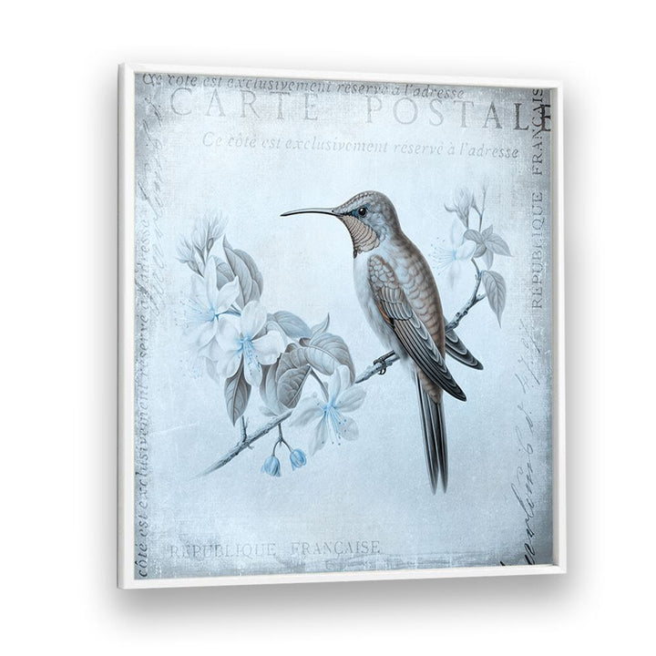 HUMMINGBIRD  ROMANCE AQUA BLUE BY ANDREA HAASE , WILDLIFE POSTERS, WILDLIFE PAINTINGS