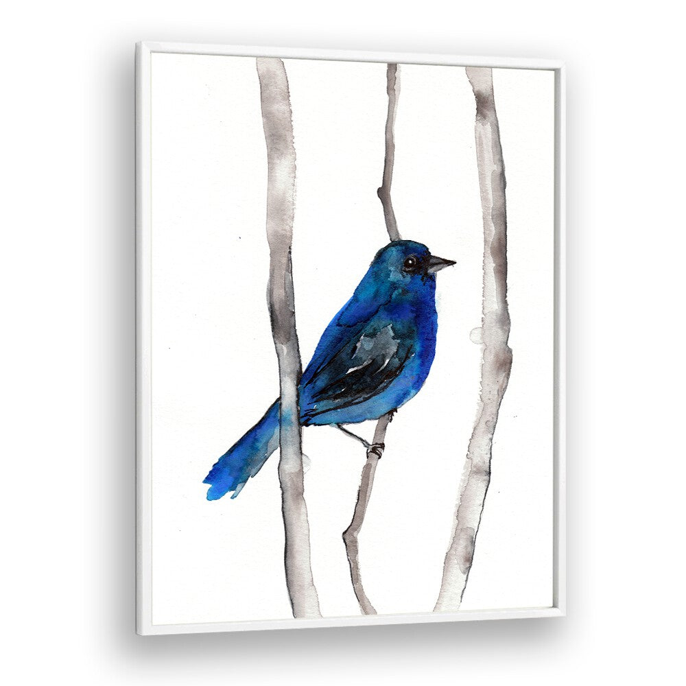 INDIGO BUNTING , ANIMAL PAINTINGS