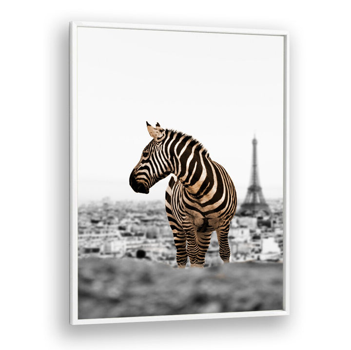 Zebra silhouette against Paris skyline in NO WAY HOME, ANIMAL PAINTINGS for a unique artistic experience.
