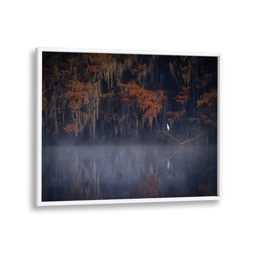 Serene "Misty Morning" photography print showcasing foggy landscapes and autumn hues for tranquil home decor.