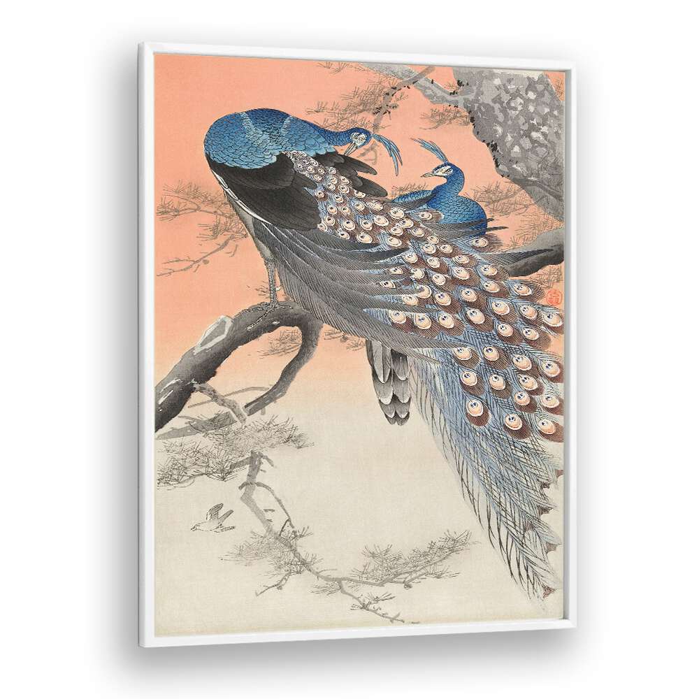 TWO PEACOCKS ON TREE BRANCH (1900 - 1930) , JAPANESE PAINTINGS , JAPANESE ART PRINTS