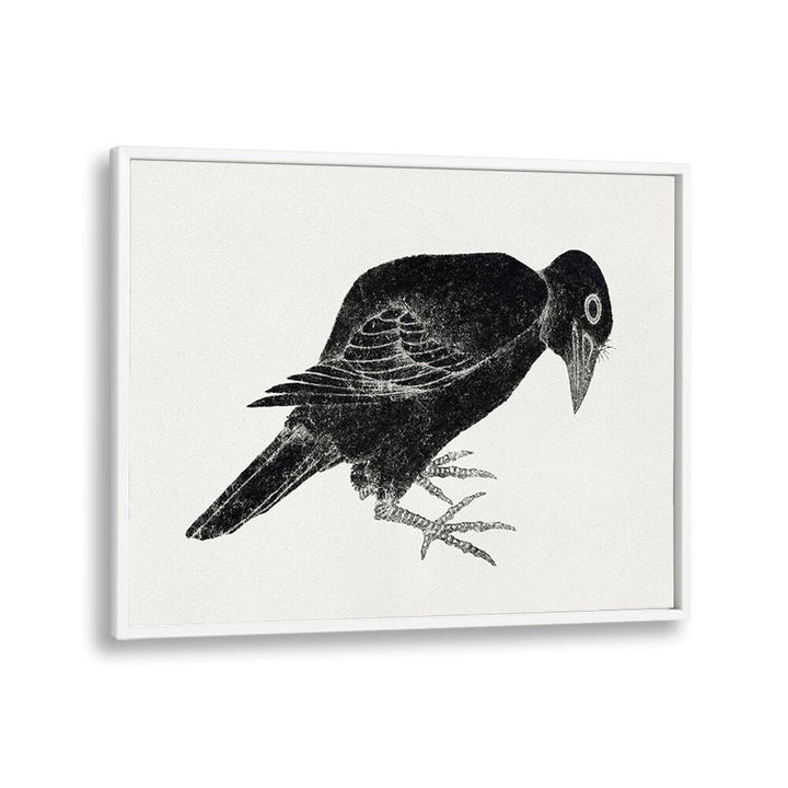 BIRD (1814)  , VINTAGE PAINTINGS