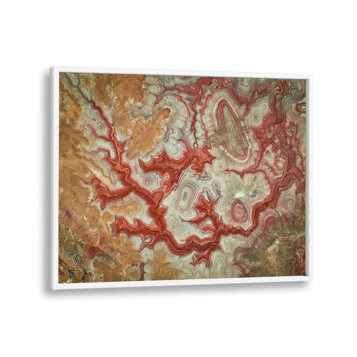 Stunning RED DRAGON OF THE BADLANDS, PHOTOGRAPHY PRINTS showcasing vibrant colors and natural beauty. Perfect for decor.