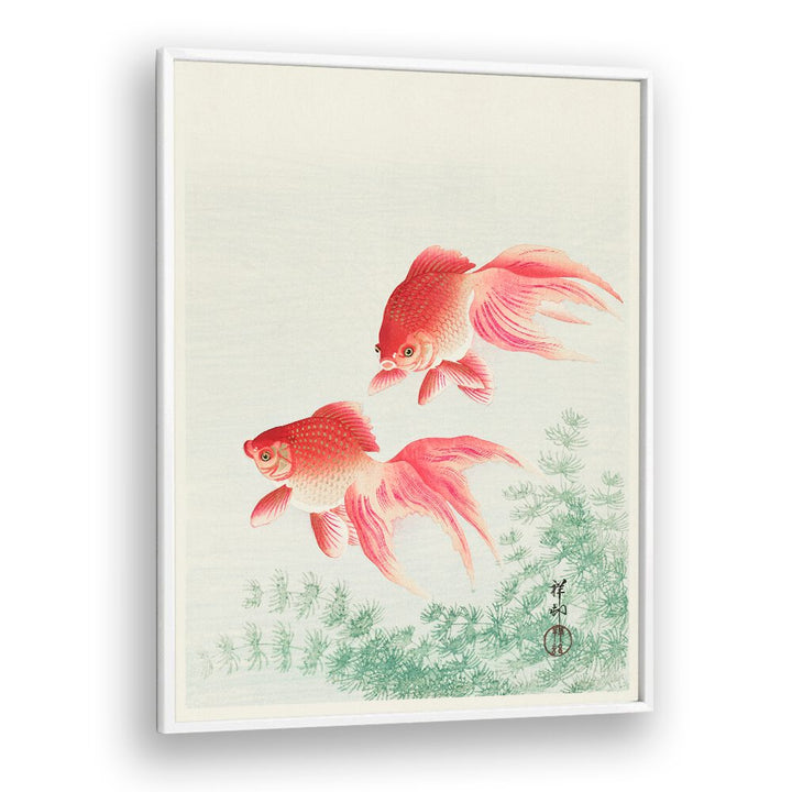 TWO VEIL GOLDFISH (1926)  , JAPANESE PAINTINGS , JAPANESE ART PRINTS