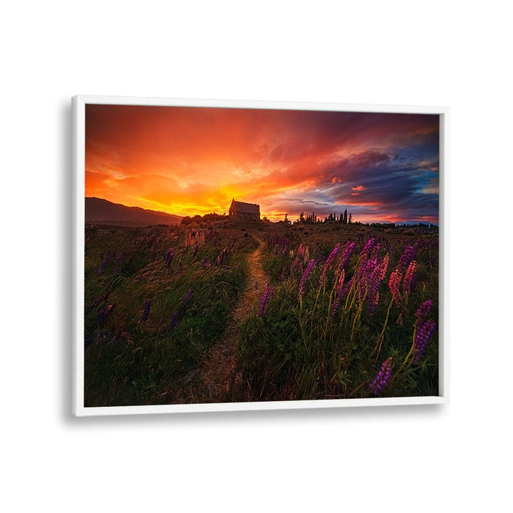 Stunning sunset over a path lined with purple flowers, perfect for enhancing your space with IN THE WIND, PHOTOGRAPHY PRINTS.