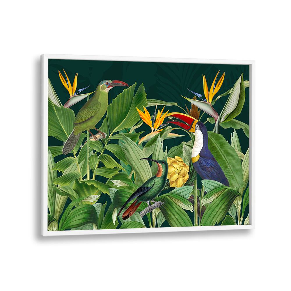 RAINFOREST BIRDS BY ANDREA HAASE , WILDLIFE POSTERS, WILDLIFE PAINTINGS