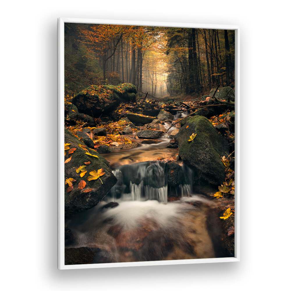 DREAMY AUTUMN BY STEFAN HEFELE , LANDSCAPE PHOTO PRINTS