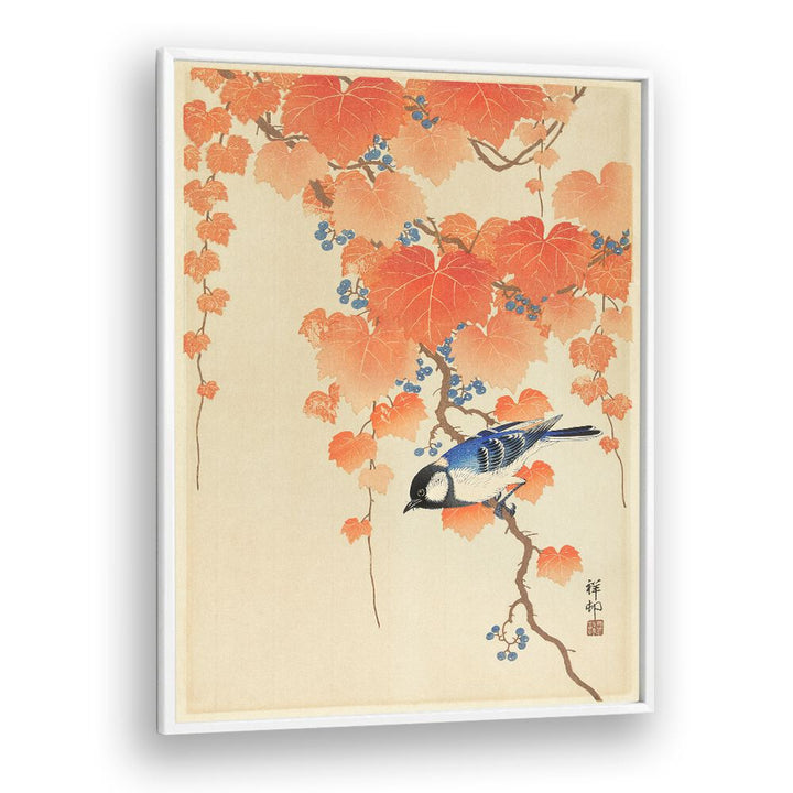 GREAT TIT ON PAULOWNIA BRANCH (1925 - 1936) , JAPANESE PAINTINGS , JAPANESE ART PRINTS