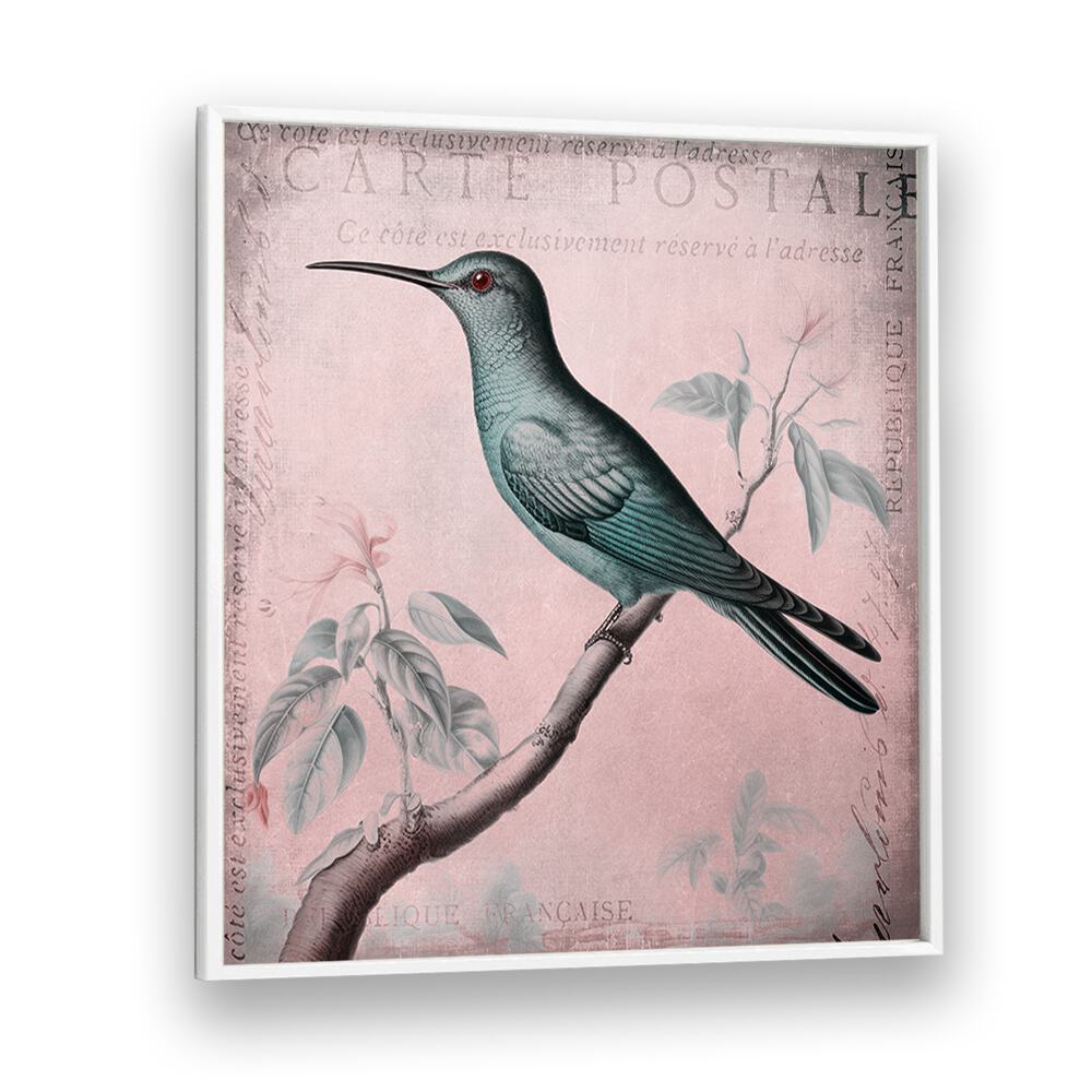 HUMMINGBIRD ROMANCE PASTEL PINK II BY ANDREA HAASE , WILDLIFE POSTERS, WILDLIFE PAINTINGS