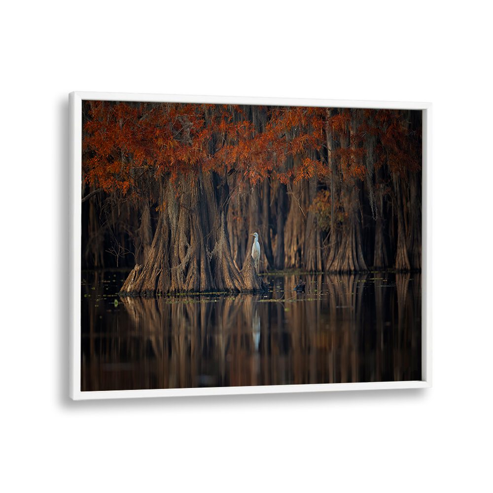 Serene scene of a tranquil lake with autumn trees, perfect for home decor with TRANQUIL LAKE, PHOTOGRAPHY PRINTS.