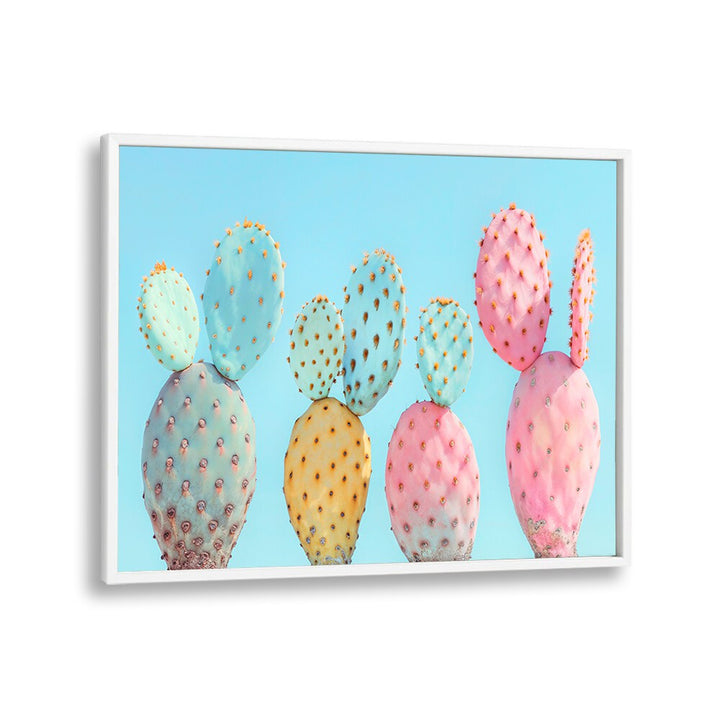 COLORFUL CACTUS  , BEACH PAINTINGS