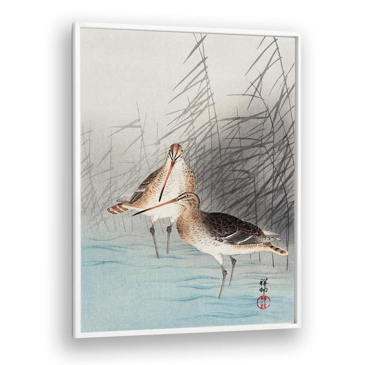 TWO BAR-TAILED GODWITS (1926)  , JAPANESE PAINTINGS , JAPANESE ART PRINTS