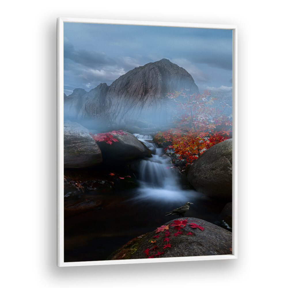 FOG HILL , LANDSCAPE PHOTO PRINTS , LANDSCAPE PHOTOGRAPHY