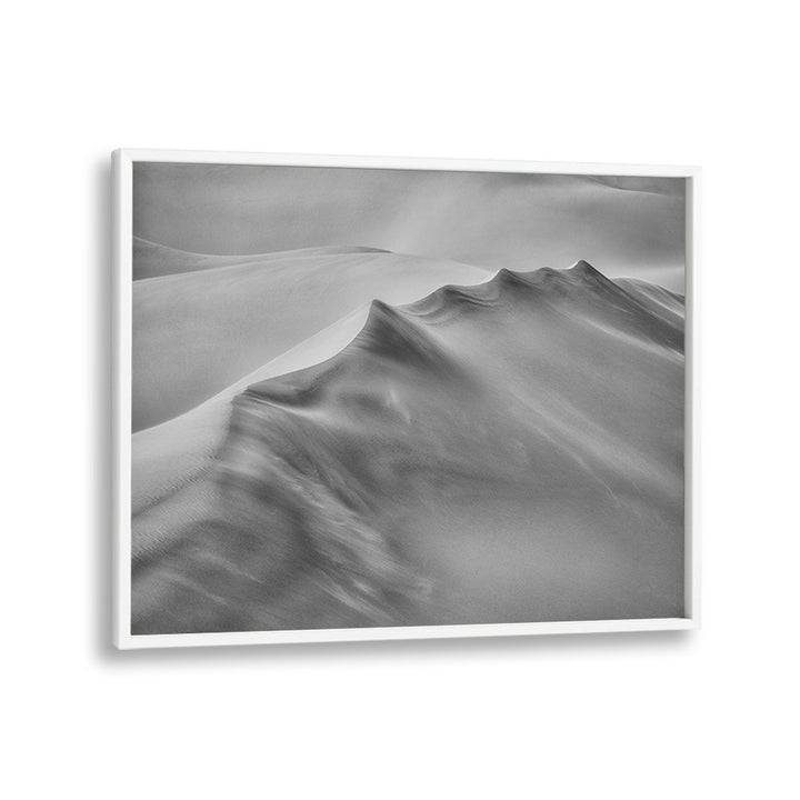 Stunning BLOWING SAND photography prints showcase nature's beauty with dynamic light and shadow interplay.