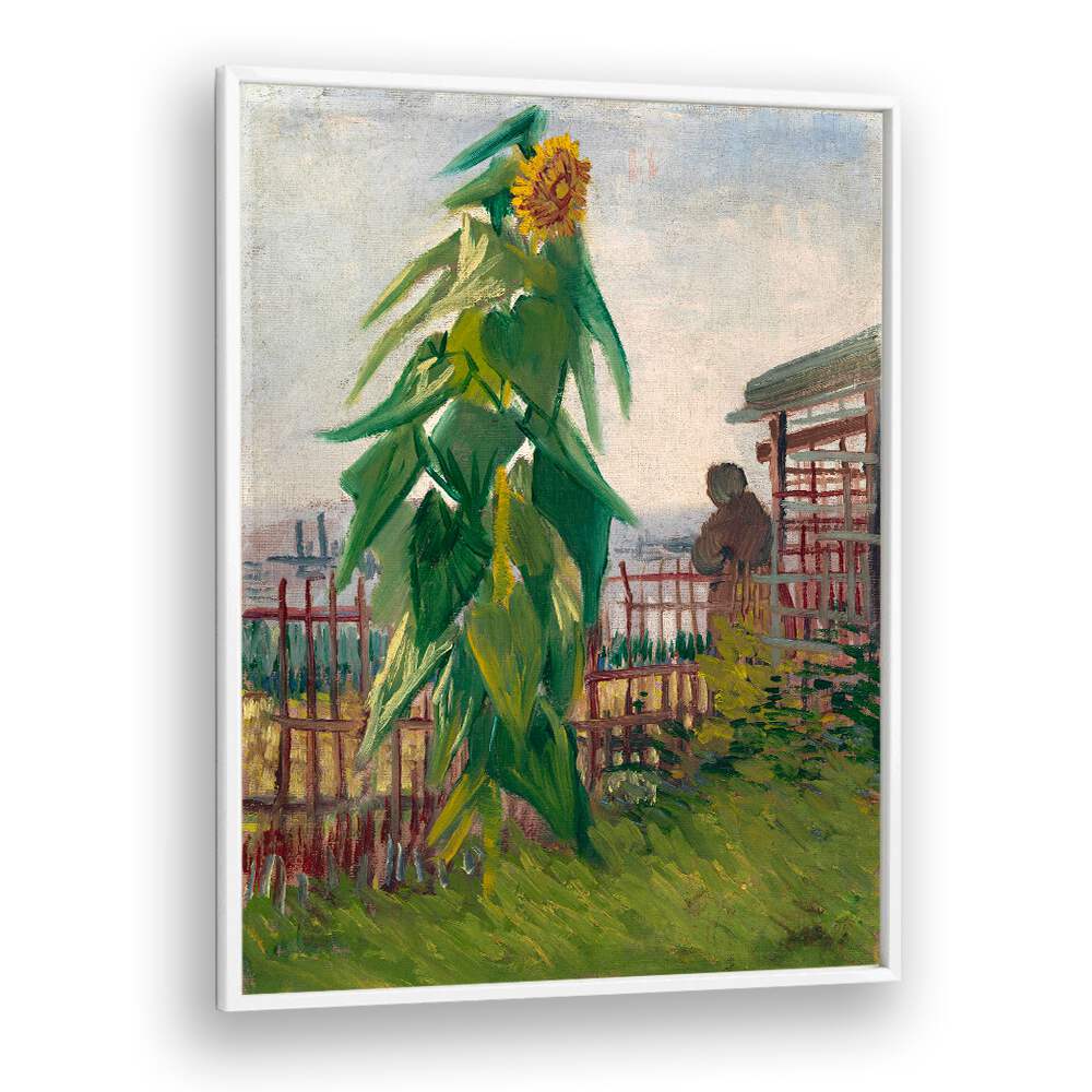 VINCENT VAN GOGH'S ALLOTMENT WITH SUNFLOWER (1887) ,  VINTAGE PAINTINGS