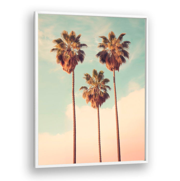 Three tall palm trees against a pastel sky in PALMS PARADISE, BEACH PAINTINGS, perfect for elegant home decor.