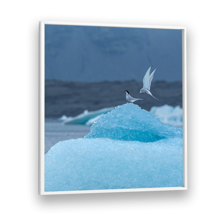 DANCING ON ICE BY MARC PELISSIER , LANDSCAPE PHOTO PRINTS