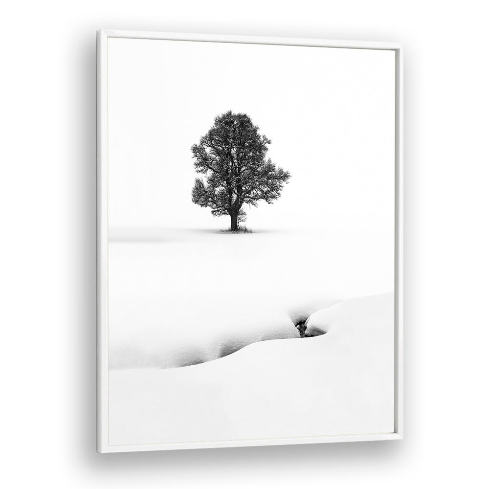 LE SOLITAIRE , LANDSCAPE PHOTO PRINTS , LANDSCAPE PHOTOGRAPHY