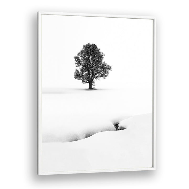 LE SOLITAIRE BY MARC PELISSIER , LANDSCAPE PHOTO PRINTS