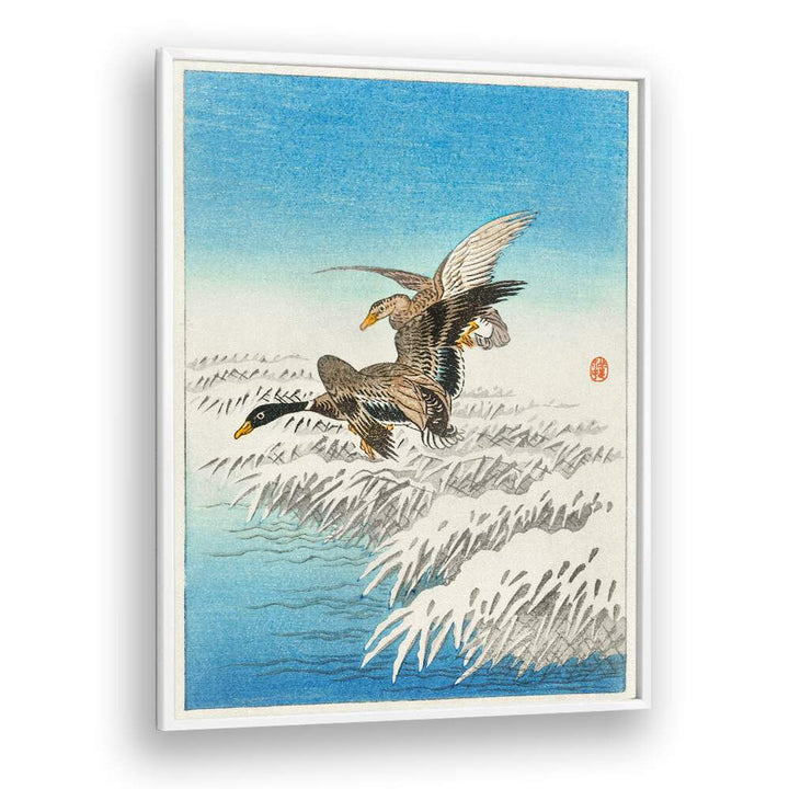 PAIR OF DUCKS FLYING OVER SNOWY REED COLLAR (1900 - 1945) , JAPANESE PAINTINGS , JAPANESE ART PRINTS