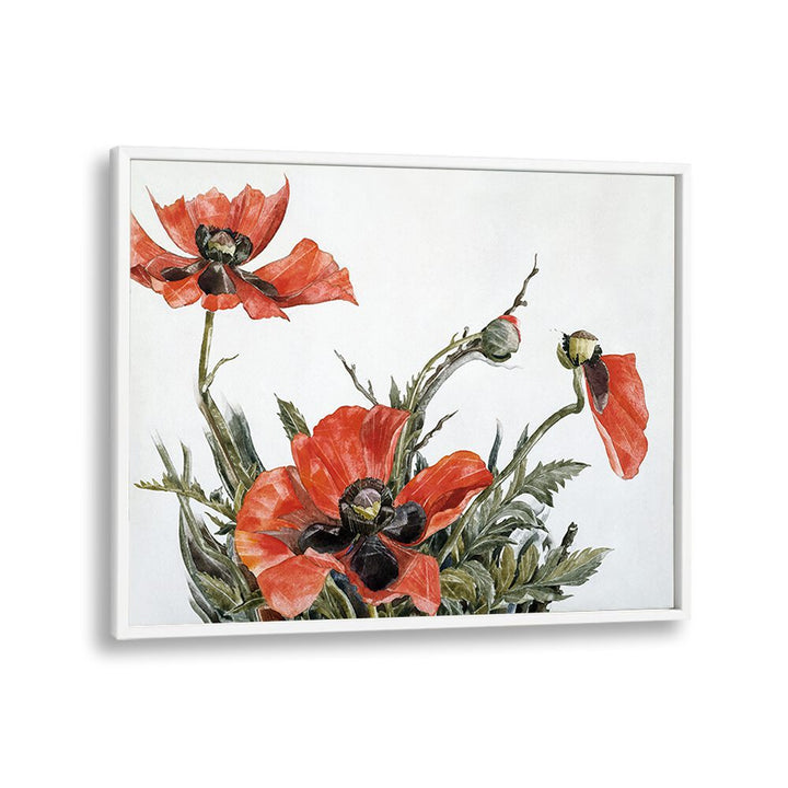 RED POPPIES (1929)  , VINTAGE PAINTINGS