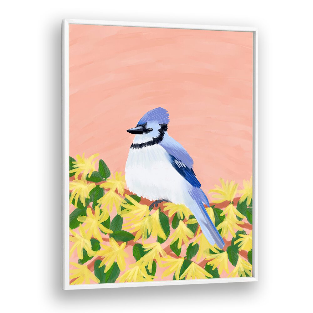 BLUE JAY BIRD , WILDLIFE PAINTINGS , WILDLIFE POSTERS