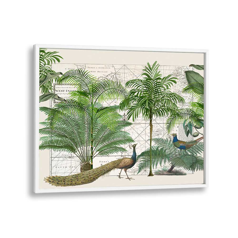 TROPICAL EMPIRE VI BY ANDREA HAASE , WILDLIFE POSTERS , WILDLIFE PAINTINGS