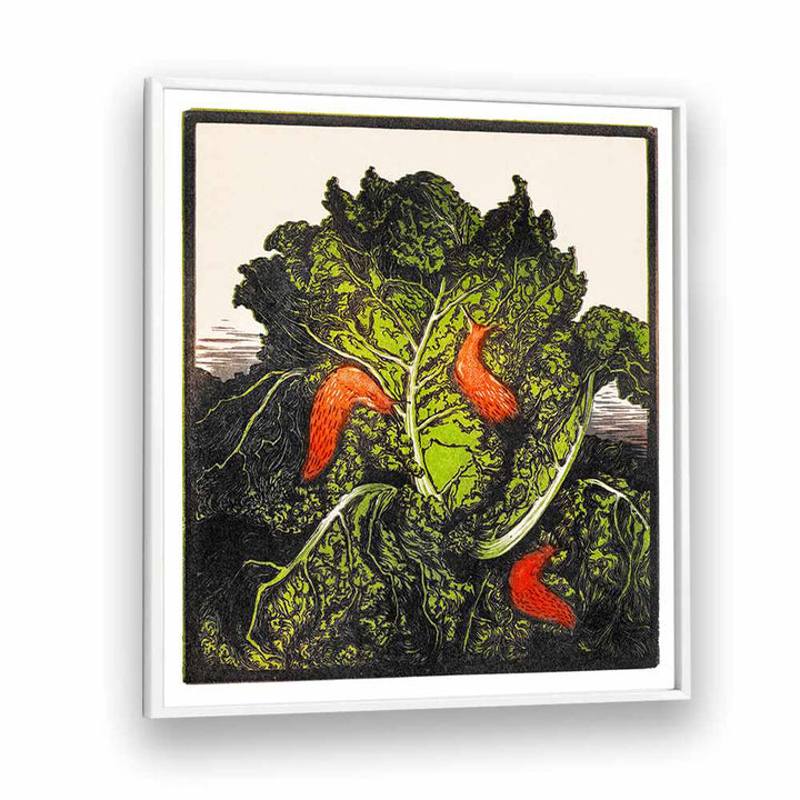 FLTHREE SLUGS ON A CABBAGE  (1877-1924) , VINTAGE PAINTINGS