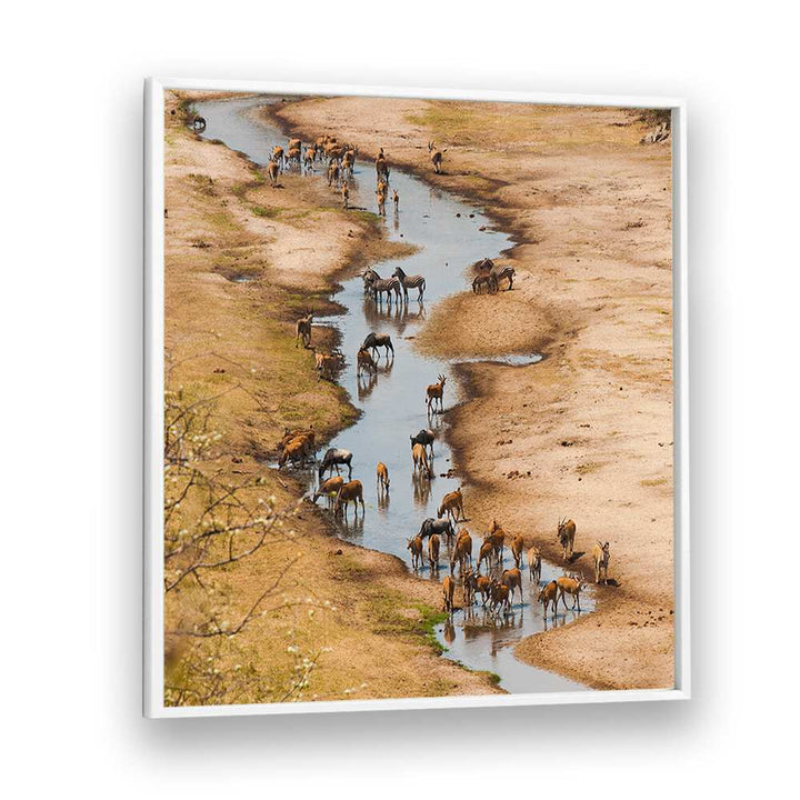 THE TARANGIRE RIVER BY MARC PELISSIER , LANDSCAPE PHOTO PRINTS