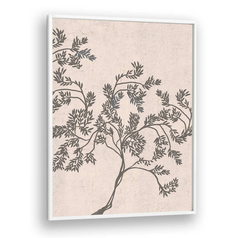 ACACIA NILOTICA , FLORAL FLOWER PAINTINGS