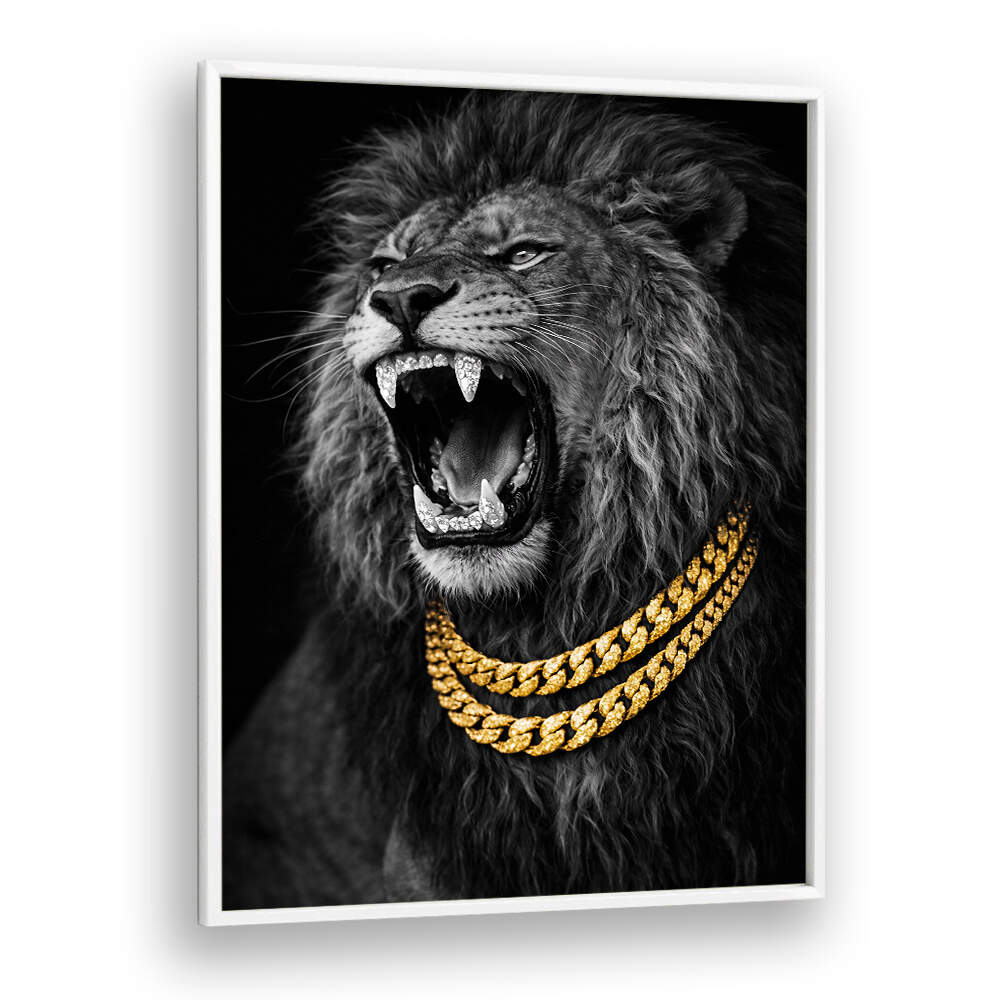 BEJWELED CONCEPT PHOTOGRAPHY