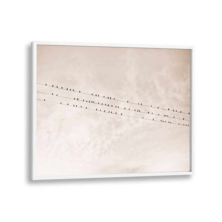 BIRDS ON A WIRE BEIGE, ANIMAL PAINTINGS showcase silhouettes of birds on wires against a soft beige backdrop.
