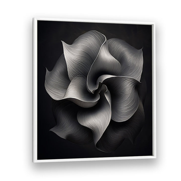 BLACK AND WHITE FLOWER V , ORGANIC FORMS