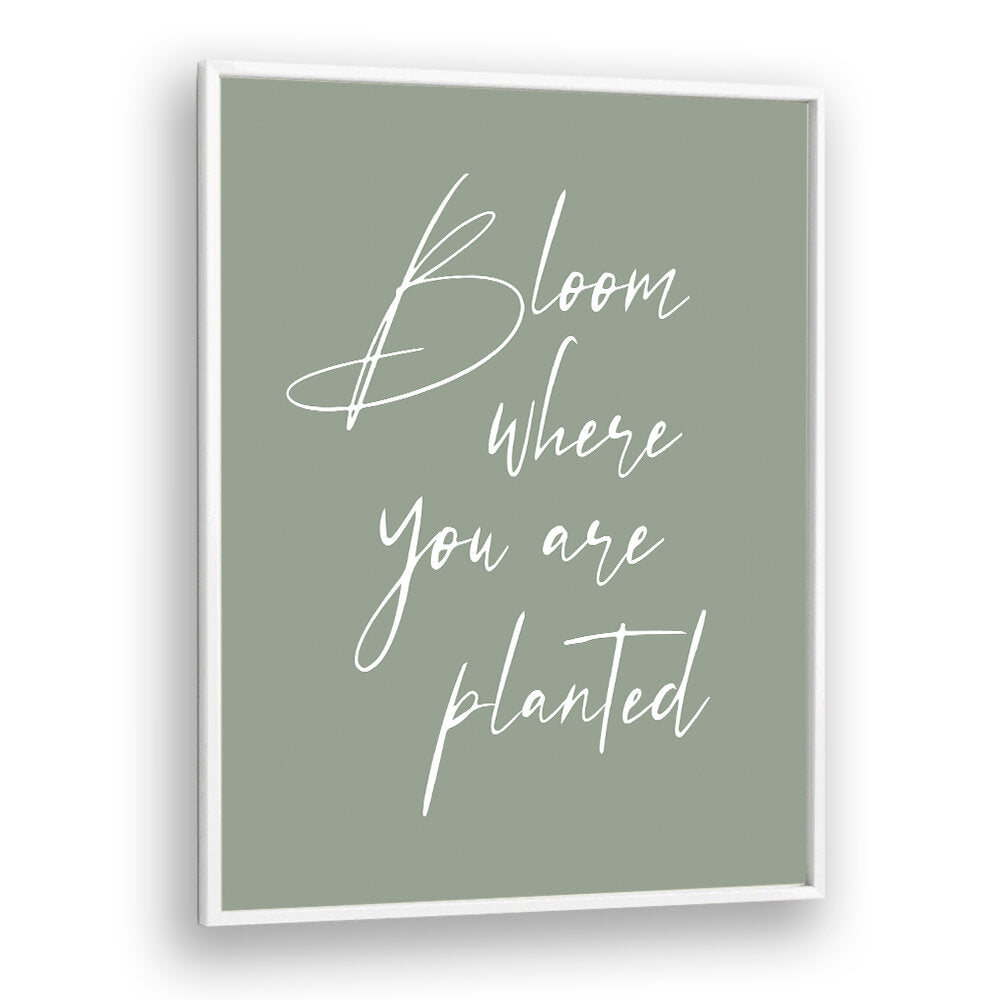 BLOOM , QUOTES & TYPOGRAPHY POSTERS